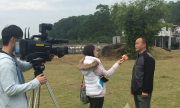 辽宁:听说青岛这些地方可以免费玩？攻略来啦！
