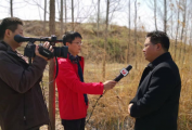 辽宁:富二代澄清成千上万婚礼：仅花40万 与新娘相恋7年－青岛信息网